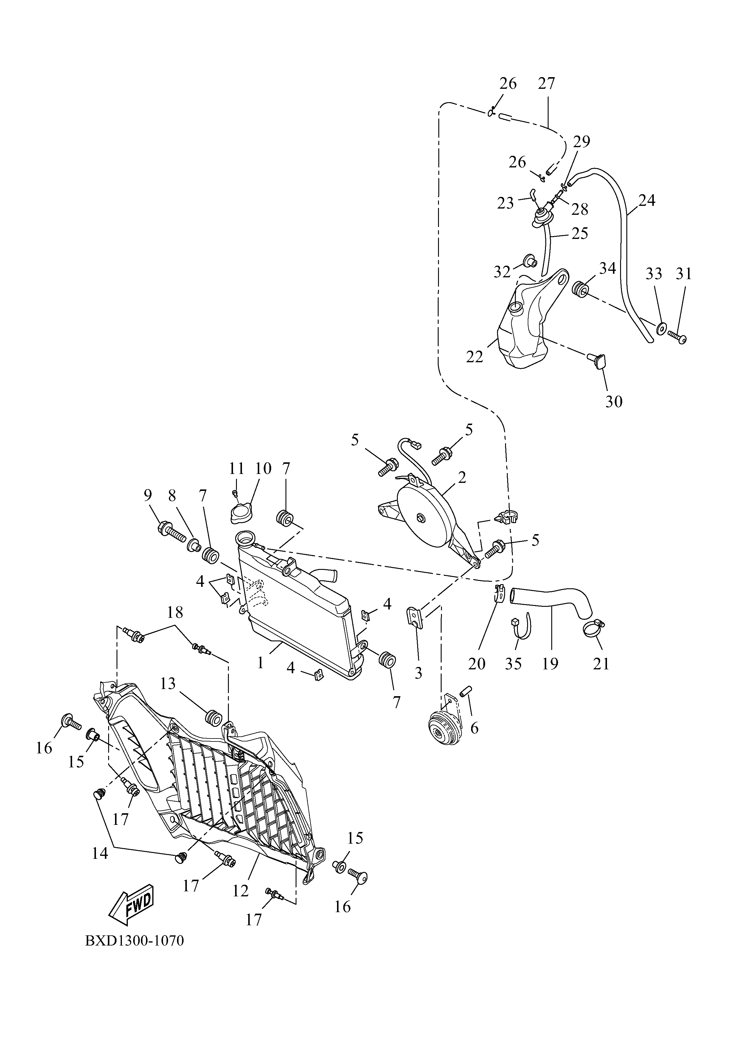 RADIATOR & HOSE ภาพแยกชิ้นส่วน