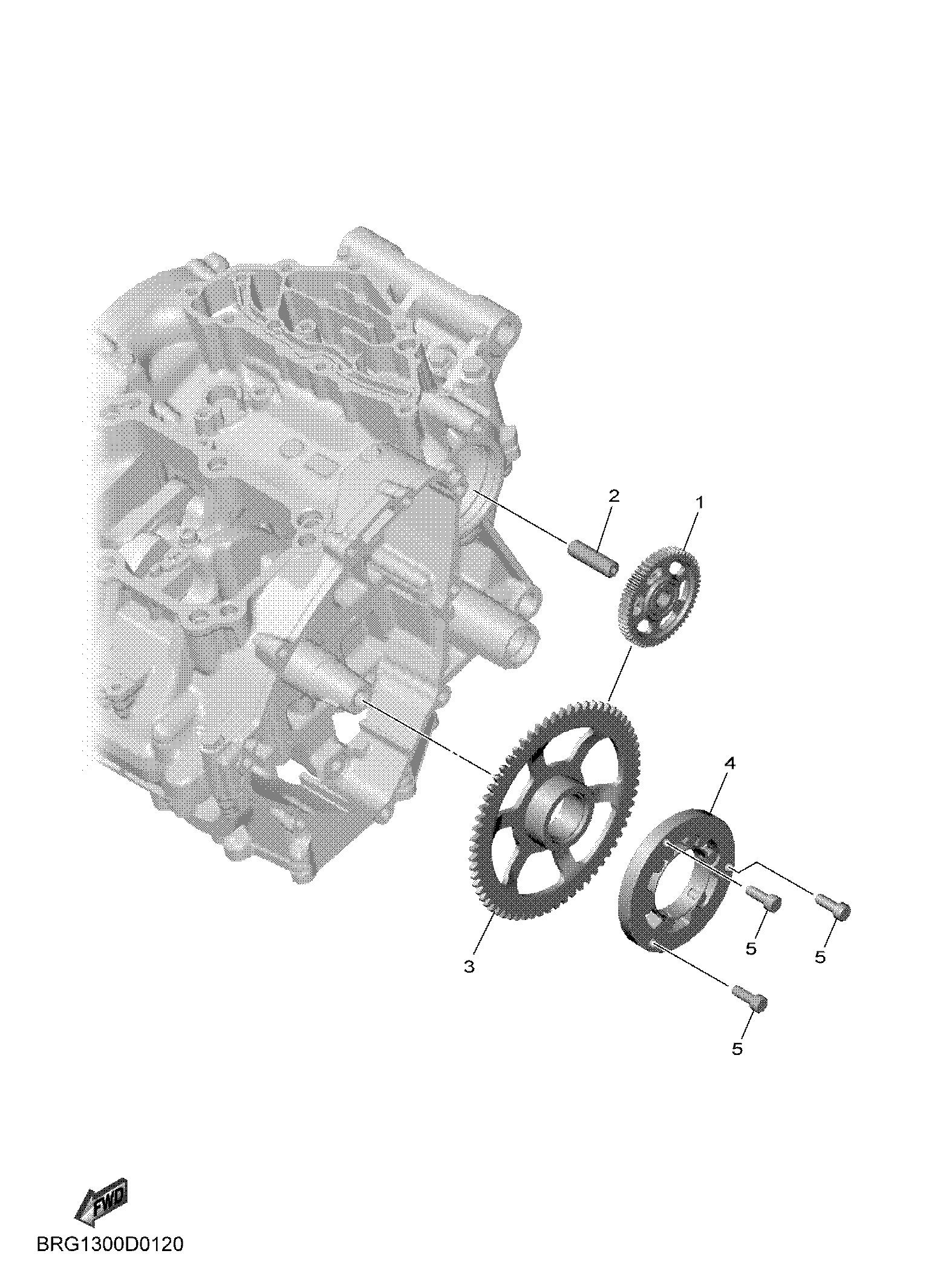 STARTER CLUTCH Despieces