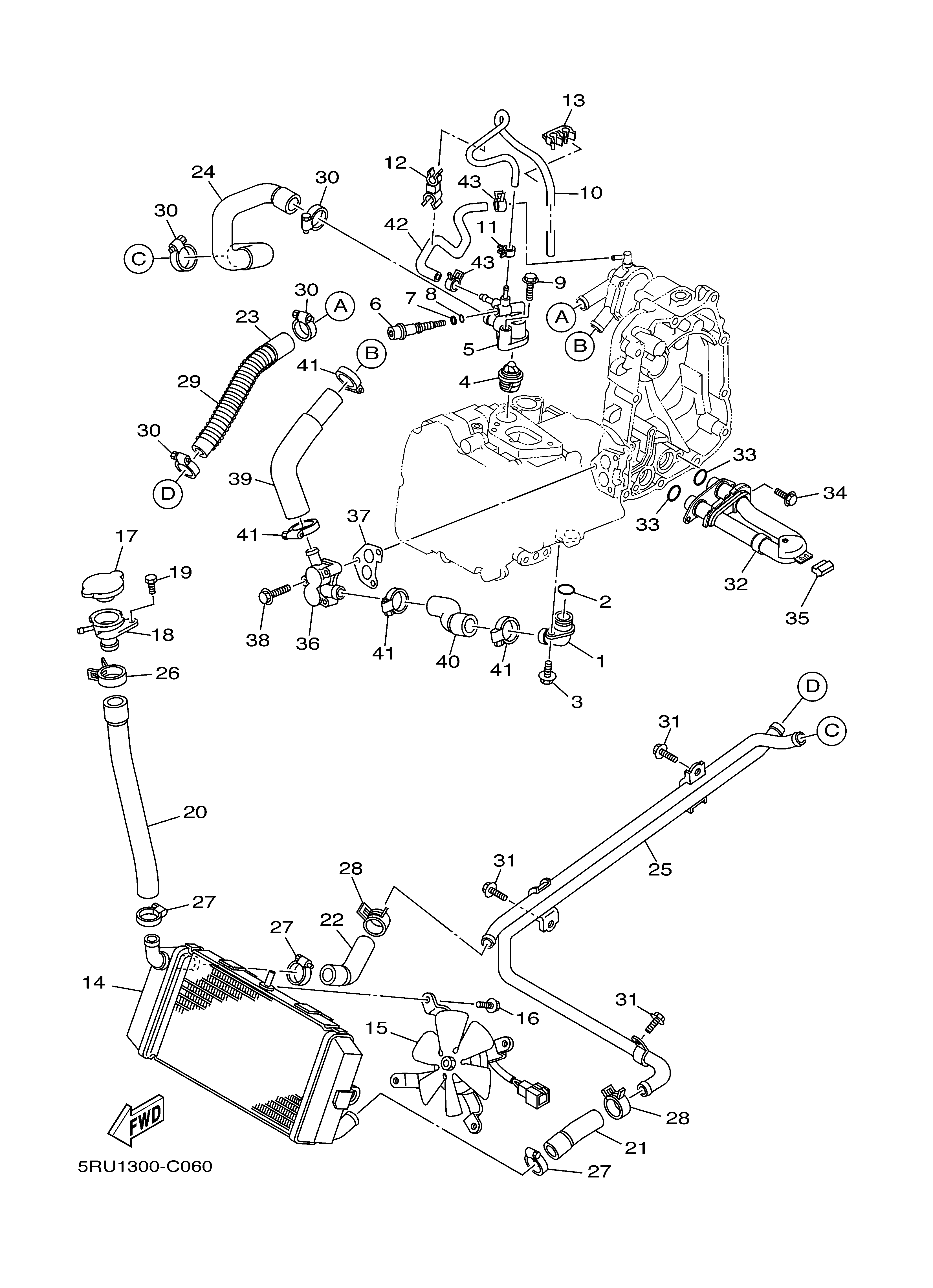 RADIATOR HOSE Despieces
