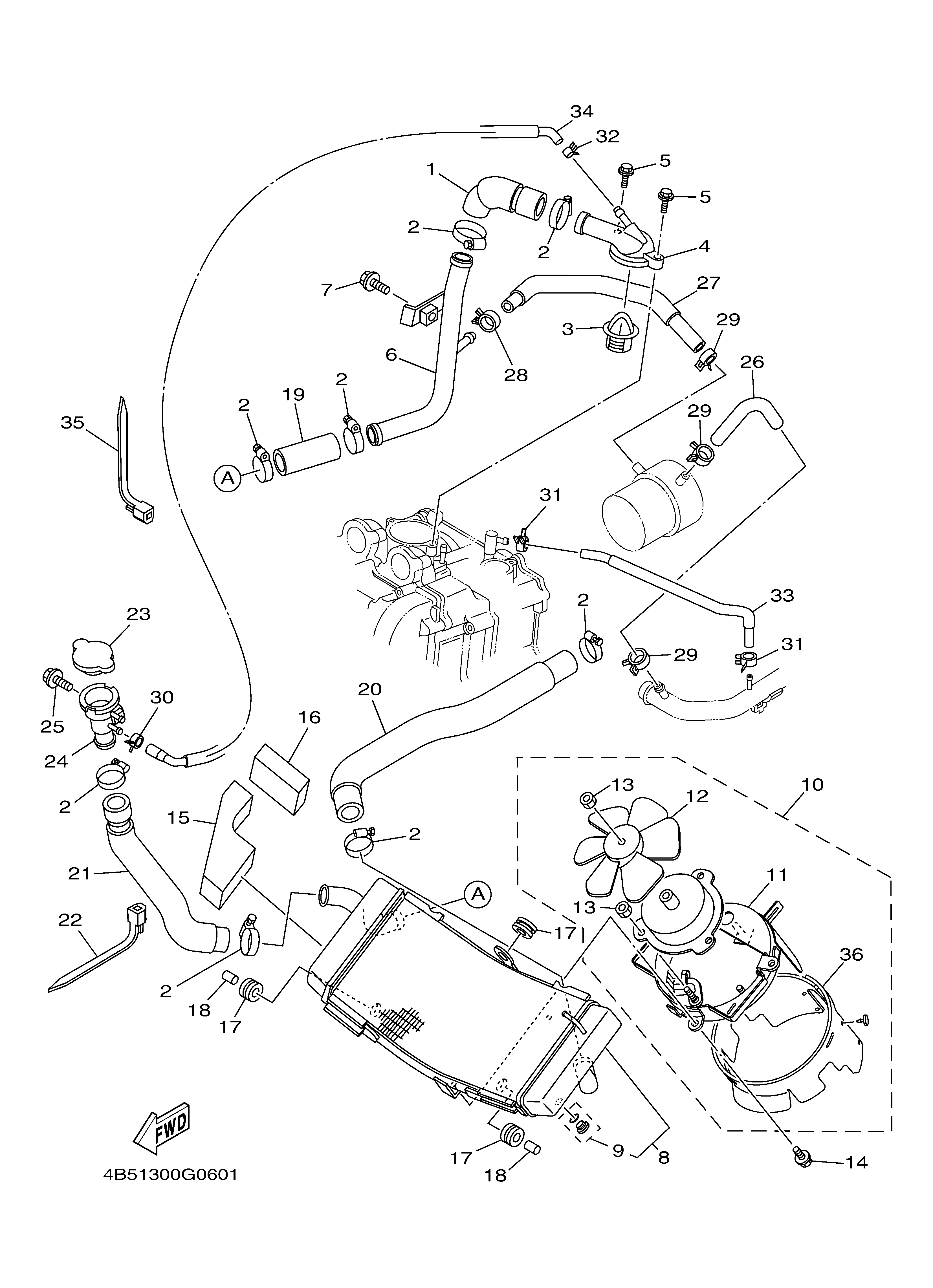 RADIATOR HOSE Despieces